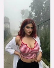 Alka